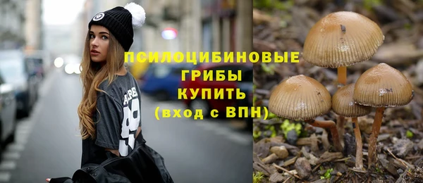 бутират Горно-Алтайск