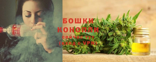 spice Горняк