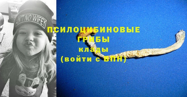 дживик Горнозаводск