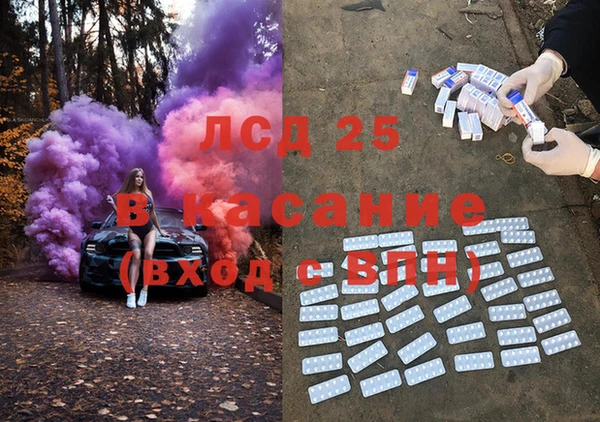ГАЛЛЮЦИНОГЕННЫЕ ГРИБЫ Чердынь