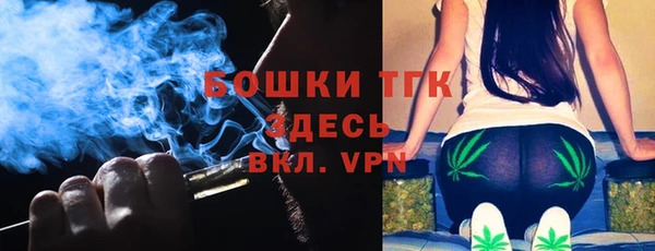 дживик Горнозаводск