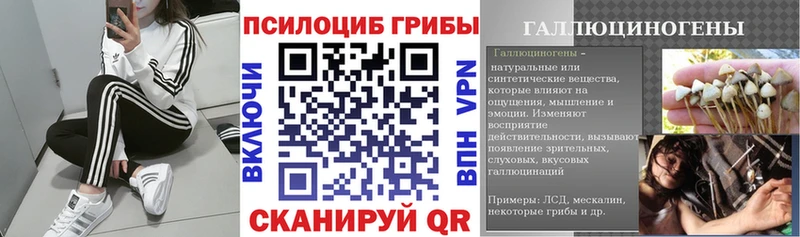 купить закладку  Мценск  kraken tor  Псилоцибиновые грибы ЛСД 