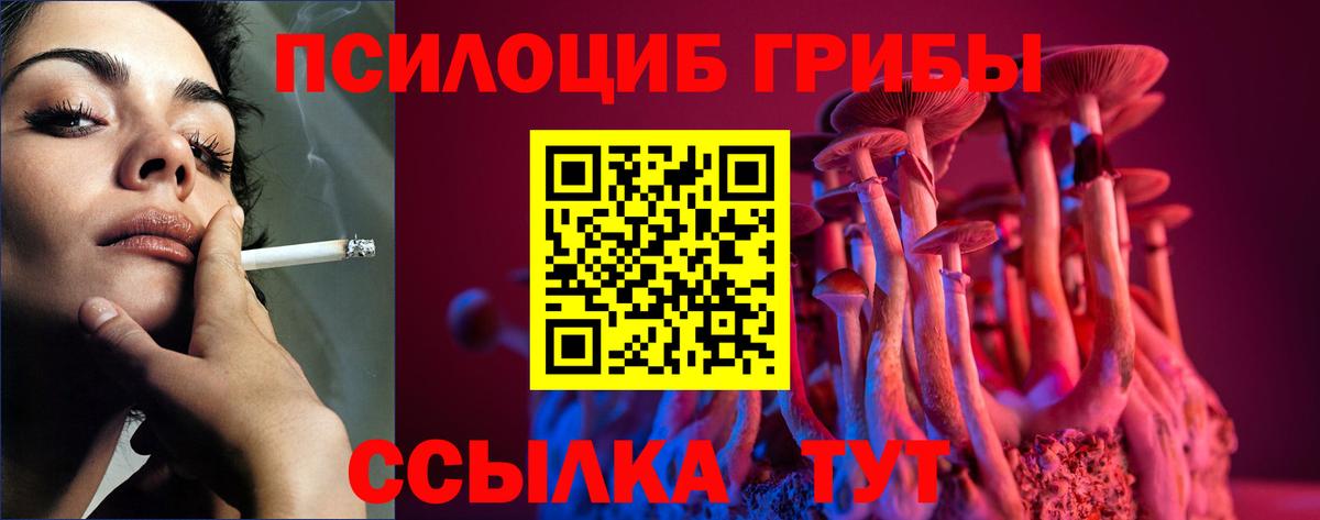 Галлюциногенные грибы мухоморы Мценск