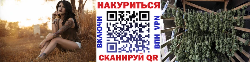 Бошки марихуана план  хочу   shop как зайти  Мценск 